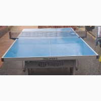 Haggai Table Tennis - Gently Used, Outdoor