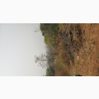 Two Plots of Land in Isiagu Anambra State