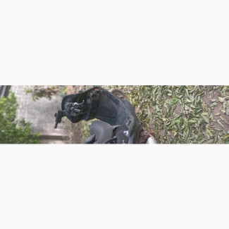 Kymco 2008 Black
