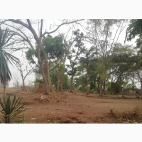 5000sqm Land in Prime CBD Location