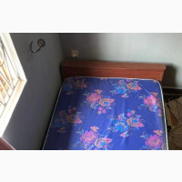 Standard Bedframe and Mattress