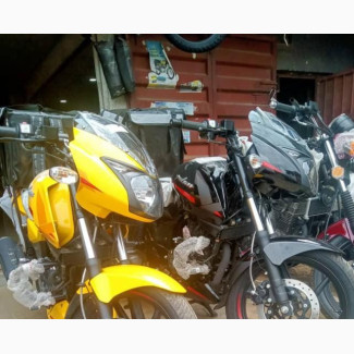 Bajaj Pulsar 220 F 2023 Yellow - Brand New