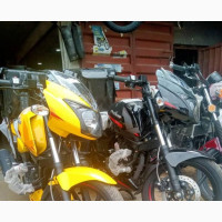 Bajaj Pulsar 220 F 2023 Yellow - Brand New