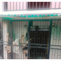 Spacious Shop with Toilet in Ojodu Berger - Furnished and Convenient