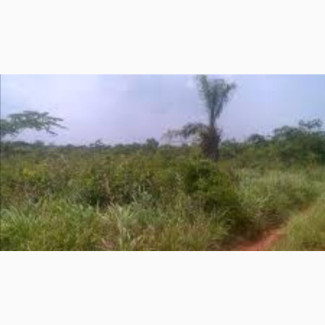 One Plot of Land for Sale - Complete Documents
