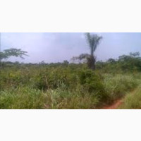One Plot of Land for Sale - Complete Documents