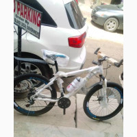 Eastman Adult#039;s Sports Bicycle