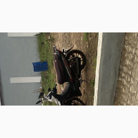 Qlink Hawk 50 2022 Black
