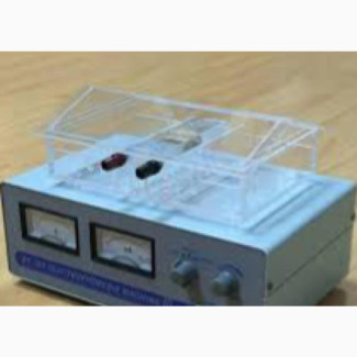Genotype Machine Analog