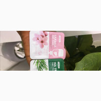 Sakura Mud Face Mask and Tea Tree Mud Mask