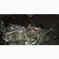 Honda Odyssey/Shuttle 1994-1997 Model 4plugs