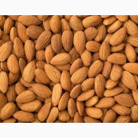 Almond Nuts