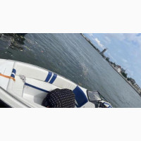 Wellcraft Scarab 31