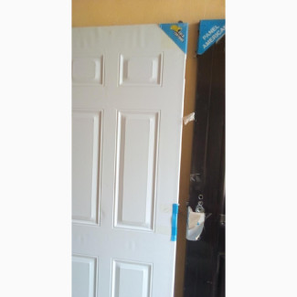 Golden Tortoise American Steel Panel Door