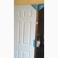Golden Tortoise American Steel Panel Door