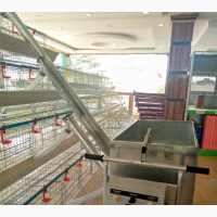 Automatic Feed Trolley - Easy and Efficient Feeding Solution