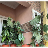 Flower Pot With Artificial Plants