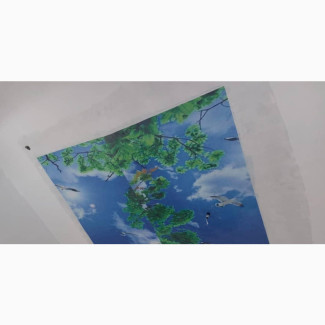 Quality Epoxy 3d Celling