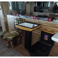 Sweethome Parbro Black and Gold W.C - Luxurious and Stylish