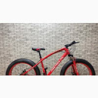 Adult Big Tyre Sports Bicycle