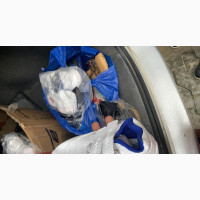 Quality Kiddies White Sneakers