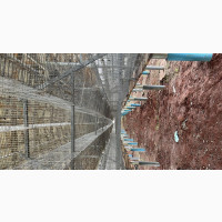 Poultry Building Company in Nigeria - High Rise Structures Available