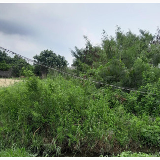 Half Plot at Soluyi Gbagada 25 Million