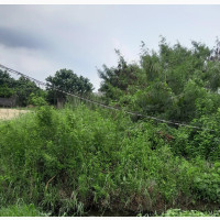 Half Plot at Soluyi Gbagada 25 Million