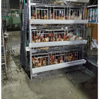 160 Layers H Type Battery Cage - High Quality