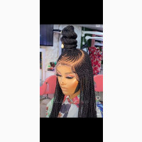 Healthy Hair Braided Wig