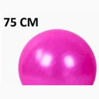 Anti-Burst Gym Exercise Yoga Fitness Ball With Pump - 75cm