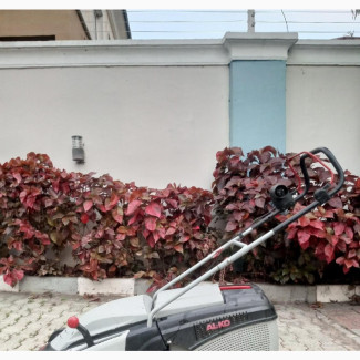 Electric Lawn Mower - Brand New