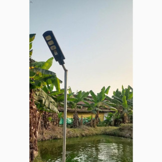 Poultry Farm and Fish for Sale