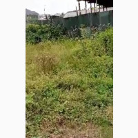 Quater Plot Measuring 35ft by 60ft Closer to Main Rd