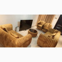 Modern Sitting Sofa Chair