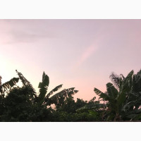 6 Plots of Land with C of O for Sale