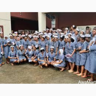 School of Nursing, Dr. Shehu Sule, Damaturu 2025/2026 Admission form/Application form