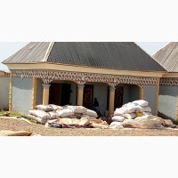 Cashew Nuts, Soya Bean Maize