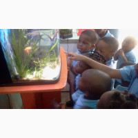 Aqua Zoo Excursion - Explore and Learn