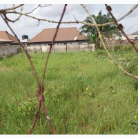 Half Plot With C of O at Ikola - 5million