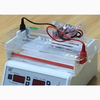 Genotype Machine Digital