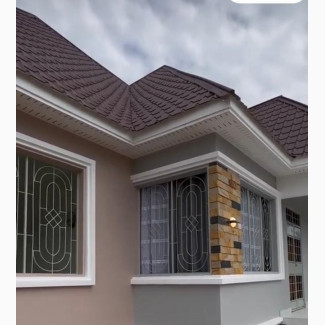 Professional Painting Services