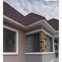 Professional Painting Services