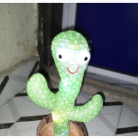 Cactus Toy