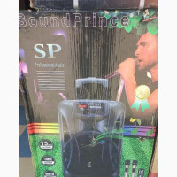 Sound Prince Address System 12 Inches