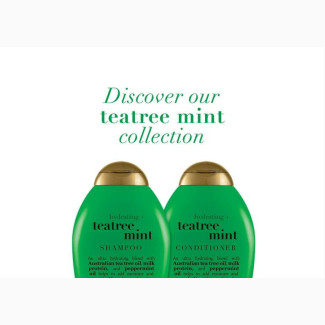 Hydrating Teatree Mint Shoo and Conditioner