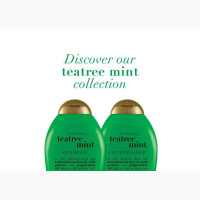 Hydrating Teatree Mint Shoo and Conditioner