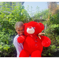 I Love U Teddy Bear