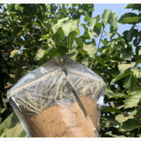 Boost Your Libido with Libido Arabian Tea Powder