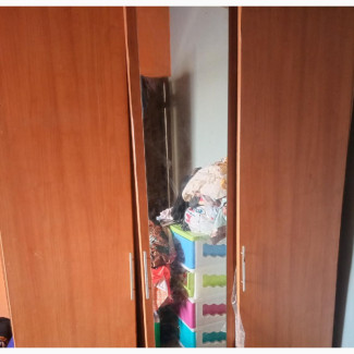 Family Size Wardrobe - Ample Storage